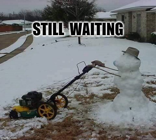 spring time in denver | STILL  WAITING | image tagged in spring time in denver | made w/ Imgflip meme maker