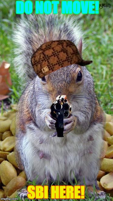 funny squirrels with guns (5) | DO NOT MOVE! SBI HERE! | image tagged in funny squirrels with guns 5,scumbag | made w/ Imgflip meme maker