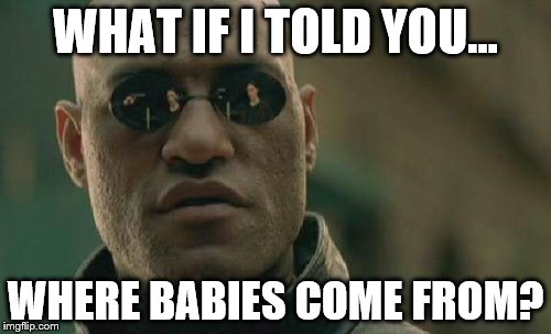 Matrix Morpheus Meme | WHAT IF I TOLD YOU... WHERE BABIES COME FROM? | image tagged in memes,matrix morpheus | made w/ Imgflip meme maker