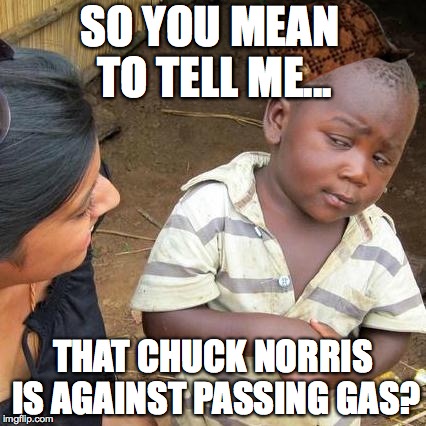 SO YOU MEAN TO TELL ME... THAT CHUCK NORRIS IS AGAINST PASSING GAS? | image tagged in memes,third world skeptical kid,scumbag | made w/ Imgflip meme maker