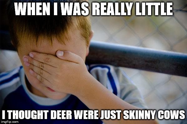I remember referring to Bambi as a cow when talking about the movie with my mom | WHEN I WAS REALLY LITTLE; I THOUGHT DEER WERE JUST SKINNY COWS | image tagged in memes,confession kid | made w/ Imgflip meme maker