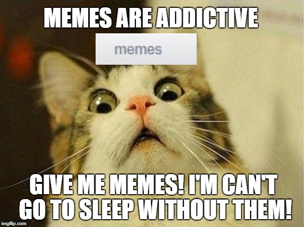 scared cat | MEMES ARE ADDICTIVE; GIVE ME MEMES! I'M CAN'T GO TO SLEEP WITHOUT THEM! | image tagged in scared cat | made w/ Imgflip meme maker