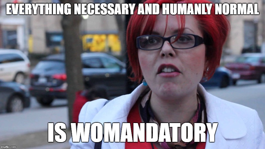 EVERYTHING NECESSARY AND HUMANLY NORMAL IS WOMANDATORY | made w/ Imgflip meme maker