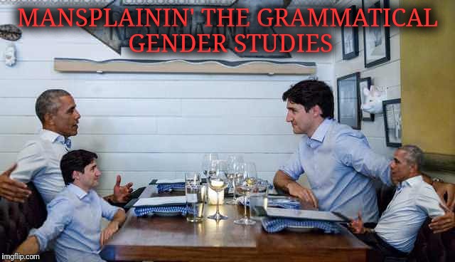 Discussing Grammatical Gender Fluidity | MANSPLAININ' THE GRAMMATICAL GENDER STUDIES | image tagged in barack obama,justin trudeau,mansplaining,grammatical,gender studies,gender fluid | made w/ Imgflip meme maker