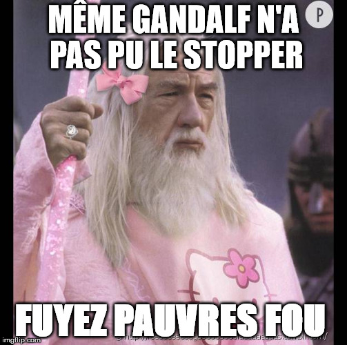 MÊME GANDALF N'A PAS PU LE STOPPER; FUYEZ PAUVRES FOU | made w/ Imgflip meme maker