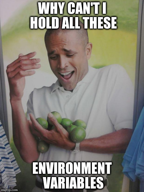 Why Can't I Hold All These Limes Meme | WHY CAN'T I HOLD ALL THESE; ENVIRONMENT VARIABLES | image tagged in memes,why can't i hold all these limes | made w/ Imgflip meme maker