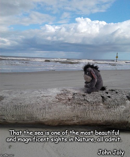 That the sea is one of the most beautiful and magnificent sights in Nature, all admit.  | That the sea is one of the most beautiful and magnificent sights in Nature, all admit. John Joly | image tagged in nature,ocea,beauty | made w/ Imgflip meme maker