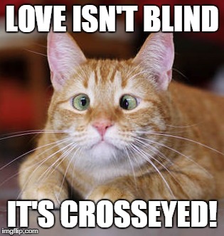 LOVE ISN'T BLIND; IT'S CROSSEYED! | image tagged in crosseyed,memes,funny memes,funny animals,love,meme | made w/ Imgflip meme maker