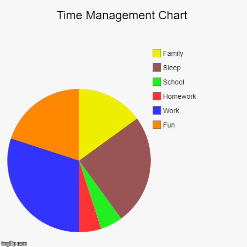 Time Management Chart | Fun, Work, Homework, School, Sleep, Family | image tagged in funny,pie charts | made w/ Imgflip chart maker
