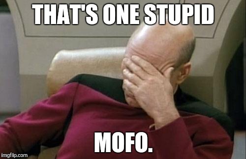 Captain Picard Facepalm Meme | THAT'S ONE STUPID MOFO. | image tagged in memes,captain picard facepalm | made w/ Imgflip meme maker