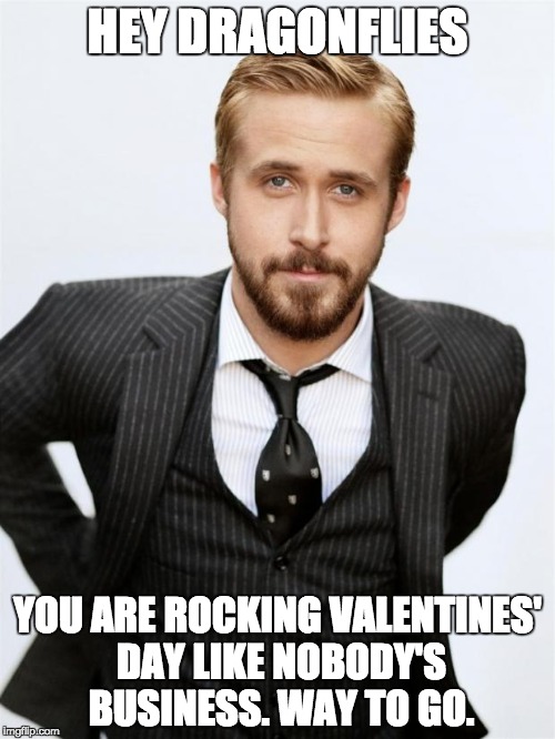 Ryan Gosling | HEY DRAGONFLIES; YOU ARE ROCKING VALENTINES' DAY LIKE NOBODY'S BUSINESS. WAY TO GO. | image tagged in ryan gosling | made w/ Imgflip meme maker