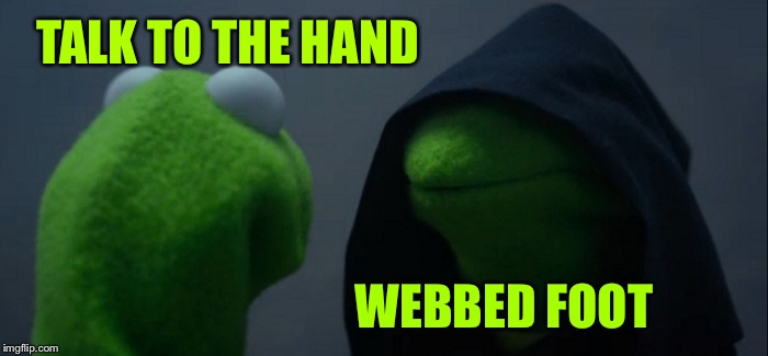 Evil Kermit Meme | TALK TO THE HAND WEBBED FOOT | image tagged in memes,evil kermit | made w/ Imgflip meme maker