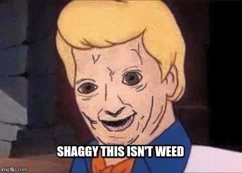 It better not be! | SHAGGY THIS ISN'T WEED | image tagged in memes,dank memes,shaggy,weed,daphne,scooby doo | made w/ Imgflip meme maker