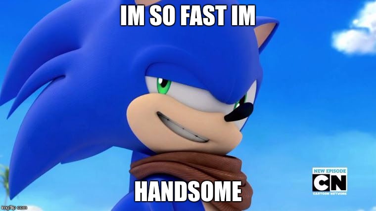 Sonic Meme | IM SO FAST IM; HANDSOME | image tagged in sonic meme | made w/ Imgflip meme maker
