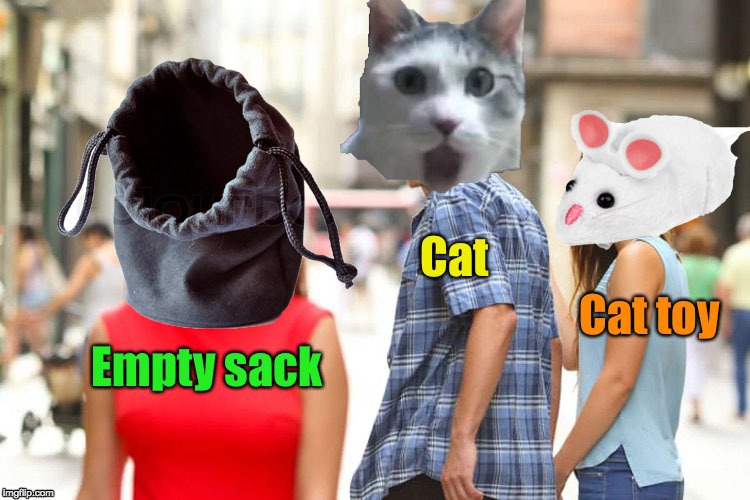 Cat likey sackey | image tagged in cats,funny,distracted | made w/ Imgflip meme maker