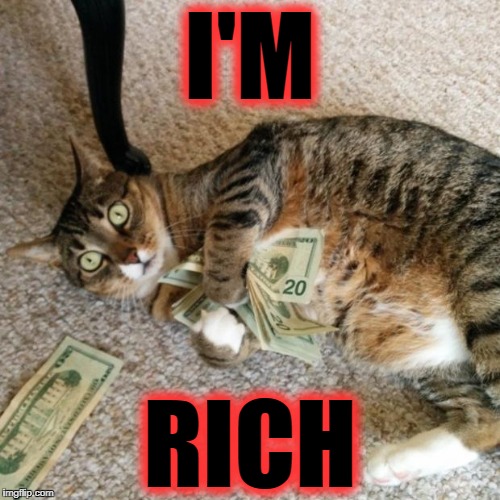 money cat | I'M; RICH | image tagged in money cat | made w/ Imgflip meme maker