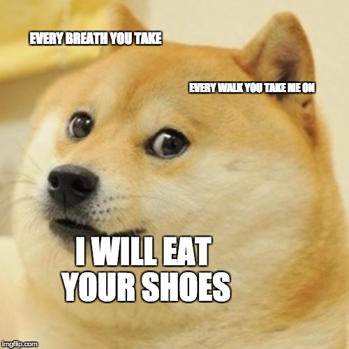Doge Meme | EVERY BREATH YOU TAKE; EVERY WALK YOU TAKE ME ON; I WILL EAT YOUR SHOES | image tagged in memes,doge | made w/ Imgflip meme maker