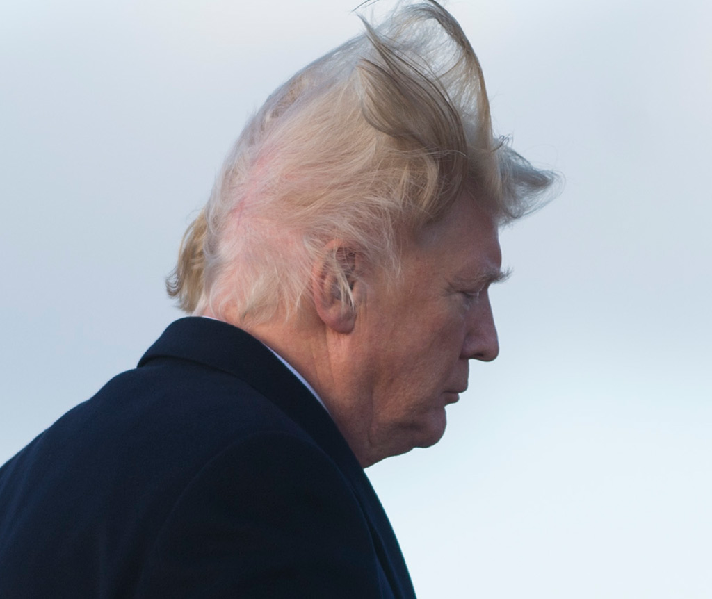 High Quality Trump hair  Blank Meme Template