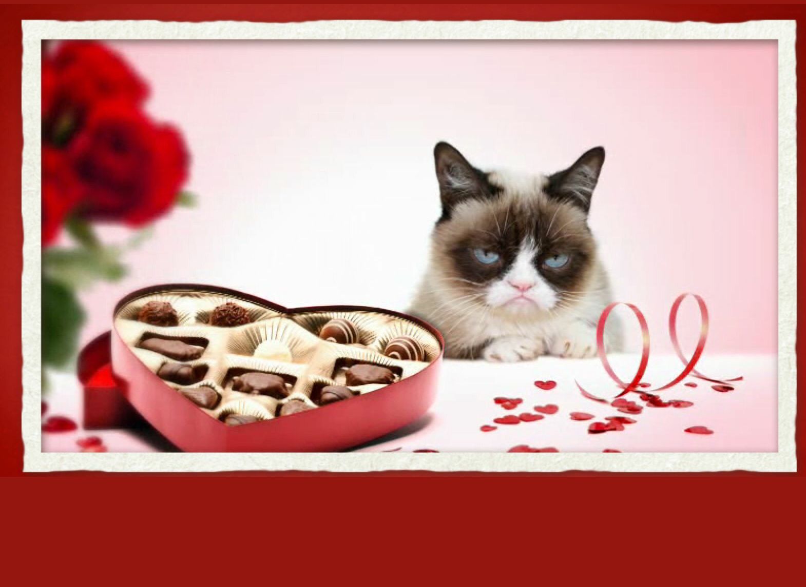 grumpy valentine Blank Meme Template