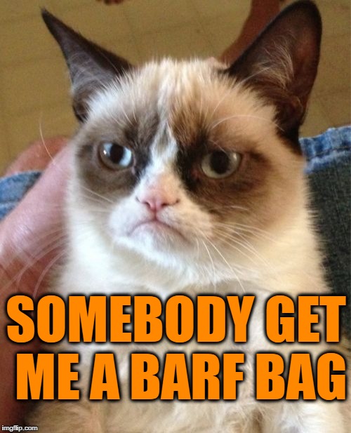 Grumpy Cat Meme | SOMEBODY GET ME A BARF BAG | image tagged in memes,grumpy cat | made w/ Imgflip meme maker