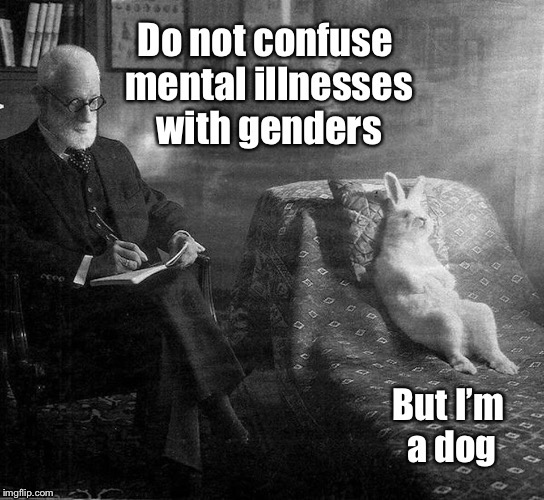 Back to basics: psychiatry - the real gender study | . | image tagged in memes,freud,genders,mental illness,trans- species,rabbit | made w/ Imgflip meme maker