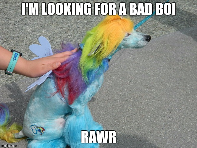I'M LOOKING FOR A BAD BOI RAWR | made w/ Imgflip meme maker