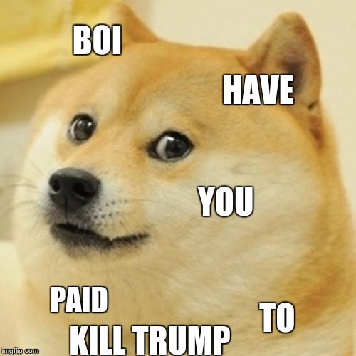 Doge Meme | BOI HAVE YOU PAID TO KILL TRUMP | image tagged in memes,doge | made w/ Imgflip meme maker