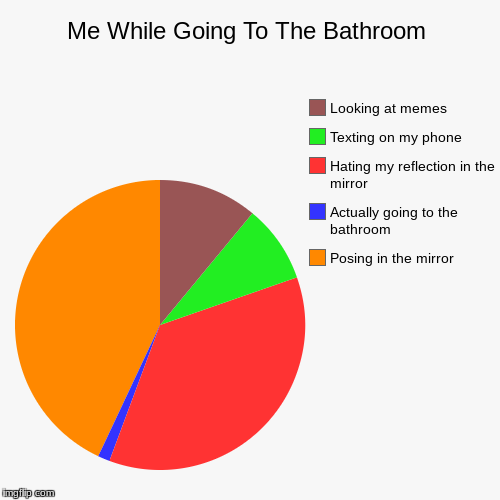 Me While Going To The Bathroom | Posing in the mirror, Actually going to the bathroom, Hating my reflection in the mirror, Texting on my pho | image tagged in funny,pie charts | made w/ Imgflip chart maker
