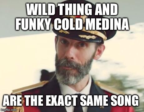 Captain Obvious | WILD THING AND FUNKY COLD MEDINA; ARE THE EXACT SAME SONG | image tagged in captain obvious | made w/ Imgflip meme maker
