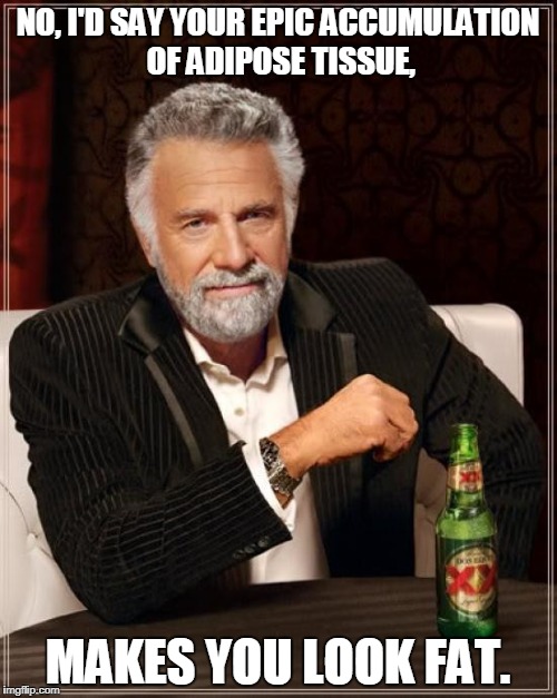 The Most Interesting Man In The World Meme | NO, I'D SAY YOUR EPIC ACCUMULATION OF ADIPOSE TISSUE, MAKES YOU LOOK FAT. | image tagged in memes,the most interesting man in the world | made w/ Imgflip meme maker