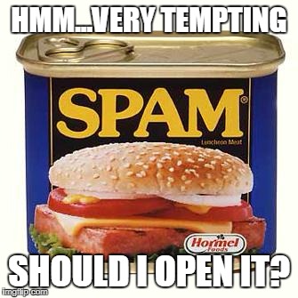 spam | HMM...VERY TEMPTING; SHOULD I OPEN IT? | image tagged in spam | made w/ Imgflip meme maker