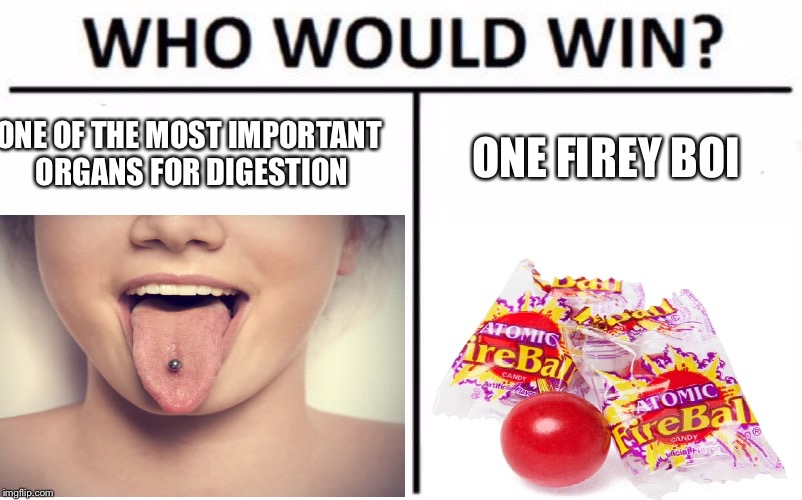 ONE OF THE MOST IMPORTANT ORGANS FOR DIGESTION; ONE FIREY BOI | image tagged in who would win | made w/ Imgflip meme maker
