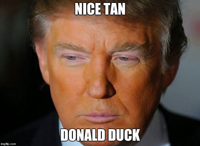 Orange Donald Trump  | NICE TAN; DONALD DUCK | image tagged in orange donald trump | made w/ Imgflip meme maker