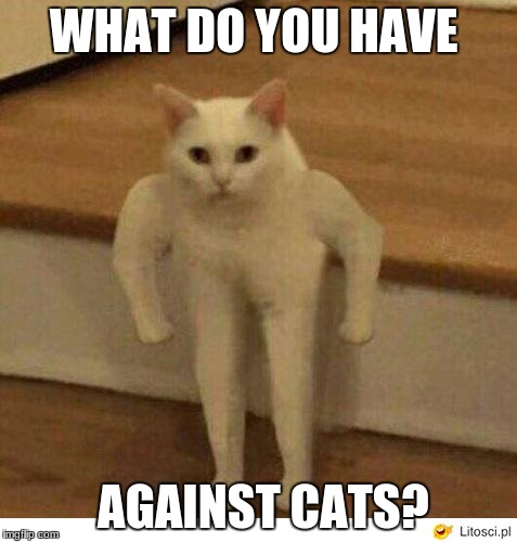 Buff Half Cat | WHAT DO YOU HAVE AGAINST CATS? | image tagged in buff half cat | made w/ Imgflip meme maker
