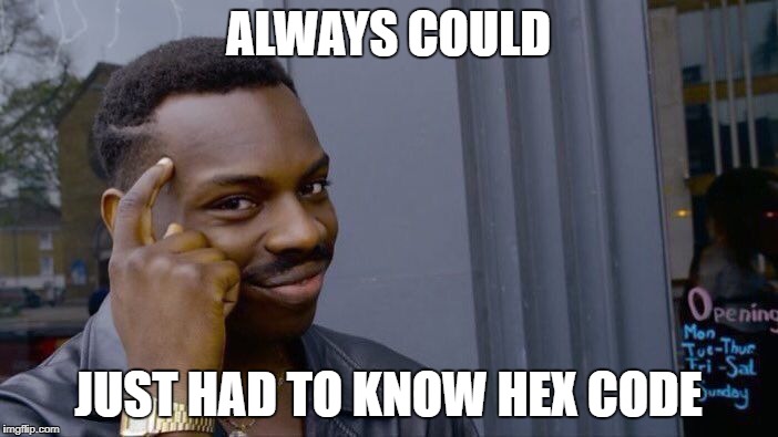 Roll Safe Think About It Meme | ALWAYS COULD JUST HAD TO KNOW HEX CODE | image tagged in memes,roll safe think about it | made w/ Imgflip meme maker