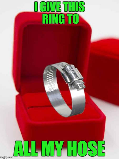 i give this ring to all my hose |  I GIVE THIS RING TO; ALL MY HOSE | image tagged in hose | made w/ Imgflip meme maker