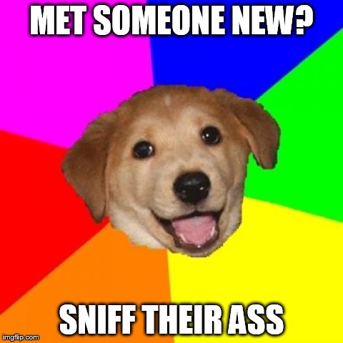 Advice Dog Meme | image tagged in memes,advice dog | made w/ Imgflip meme maker