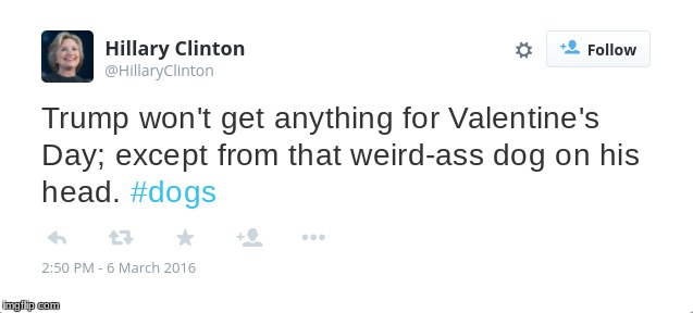 My Fake Tweets Series Has Begun!
Check in every Wednesday for a new dumb tweet! (even though it's Thursday) | image tagged in memes,fake tweets,dogs,hillary clinton,valentine's day,dumb tweets | made w/ Imgflip meme maker