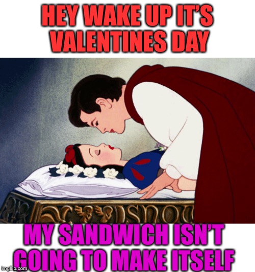 So romantic | HEY WAKE UP IT’S VALENTINES DAY; MY SANDWICH ISN’T GOING TO MAKE ITSELF | image tagged in valentine's day | made w/ Imgflip meme maker