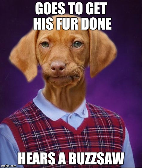 Bad Luck Raydog | GOES TO GET HIS FUR DONE; HEARS A BUZZSAW | image tagged in bad luck raydog | made w/ Imgflip meme maker