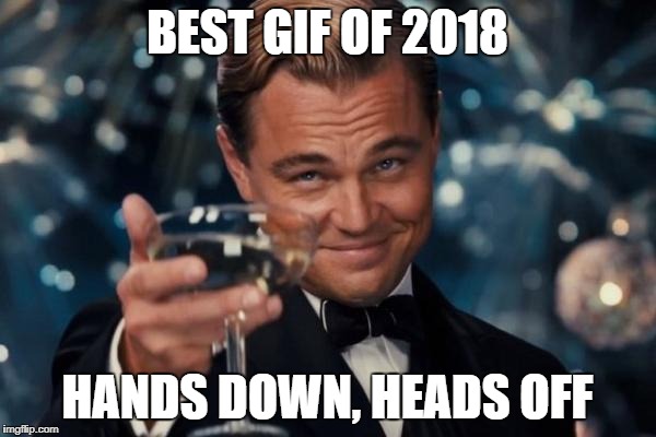 Leonardo Dicaprio Cheers Meme | BEST GIF OF 2018 HANDS DOWN, HEADS OFF | image tagged in memes,leonardo dicaprio cheers | made w/ Imgflip meme maker