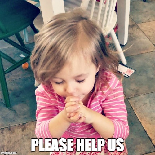 Praying Girl, please help us. | PLEASE HELP US | image tagged in help,pray,prayer,toddler,cutekid,prayermeme | made w/ Imgflip meme maker