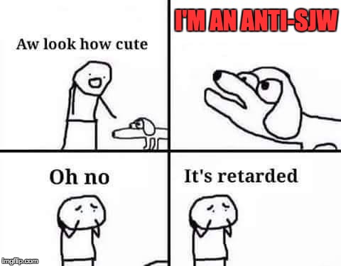 Oh no it's an anti-sjw | I'M AN ANTI-SJW | image tagged in oh no its retarded,politics,liberal vs conservative,funny,memes | made w/ Imgflip meme maker