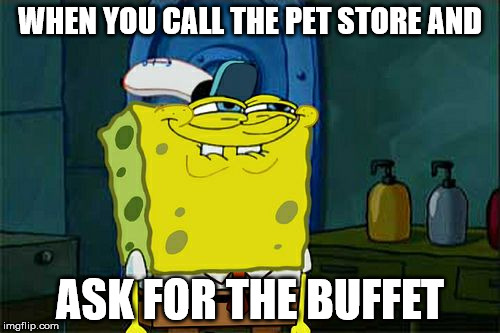 Don't You Squidward | WHEN YOU CALL THE PET STORE AND; ASK FOR THE BUFFET | image tagged in memes,dont you squidward | made w/ Imgflip meme maker