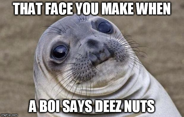 Awkward Moment Sealion | THAT FACE YOU MAKE WHEN; A BOI SAYS DEEZ NUTS | image tagged in memes,awkward moment sealion | made w/ Imgflip meme maker