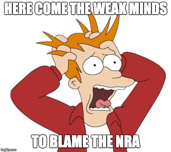 Panic | HERE COME THE WEAK MINDS; TO BLAME THE NRA | image tagged in panic | made w/ Imgflip meme maker