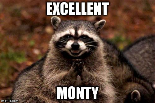 Evil Plotting Raccoon Meme | EXCELLENT; MONTY | image tagged in memes,evil plotting raccoon | made w/ Imgflip meme maker