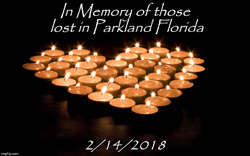 In Memory | In Memory of those lost in Parkland Florida; 2/14/2018 | image tagged in florida | made w/ Imgflip meme maker