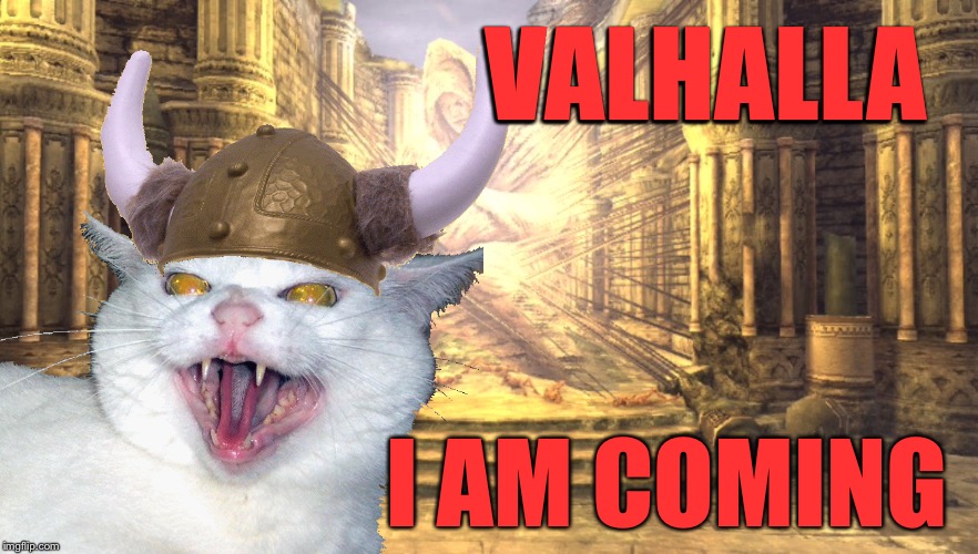 Valhalla, I am coming! Imgflip