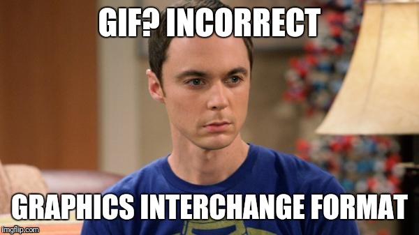 Sheldon Logic | GIF? INCORRECT; GRAPHICS INTERCHANGE FORMAT | image tagged in sheldon logic | made w/ Imgflip meme maker